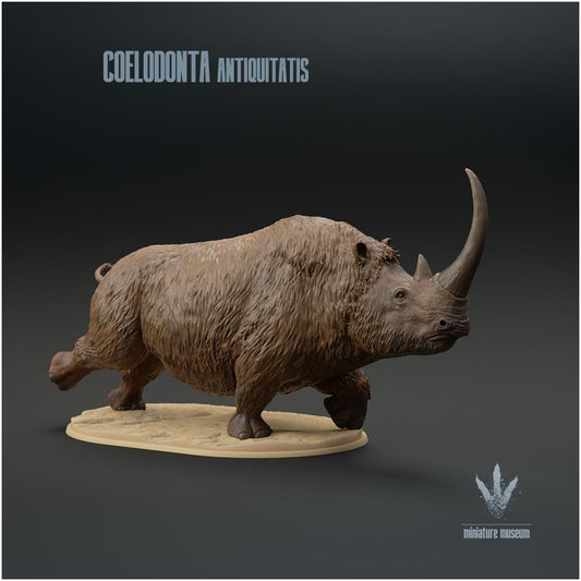 Coelodonta Antiquitatis Running
