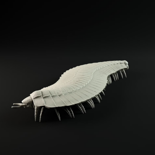 Arthropleura