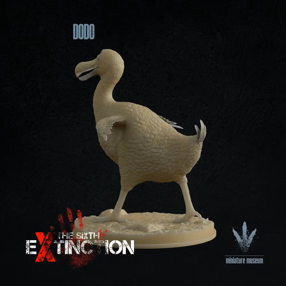 Dodo (Raphus Cucullatus)