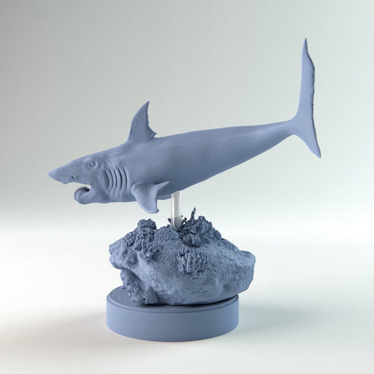 Helicoprion Swimming