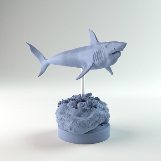 Helicoprion Swimming Up