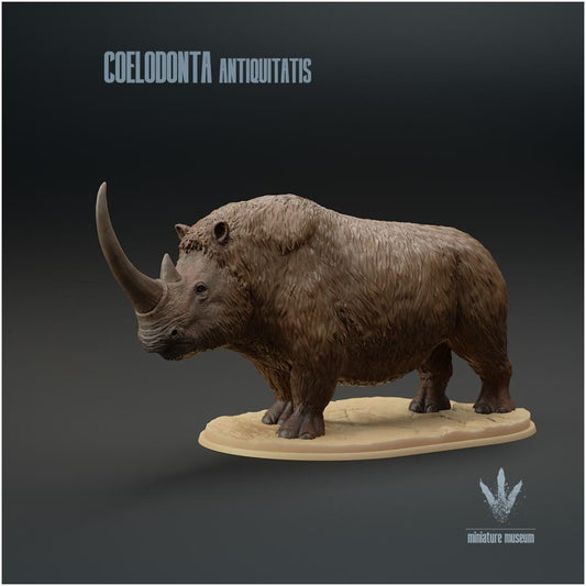 Coelodonta Antiquitatis