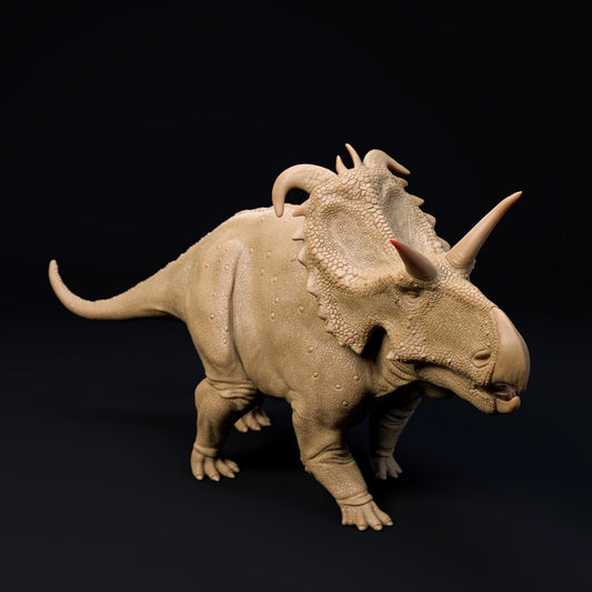 Lokiceratops