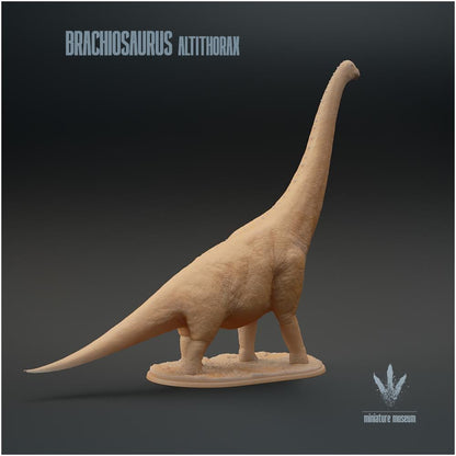 Brachiosaurus Altithorax 1:35 Scale