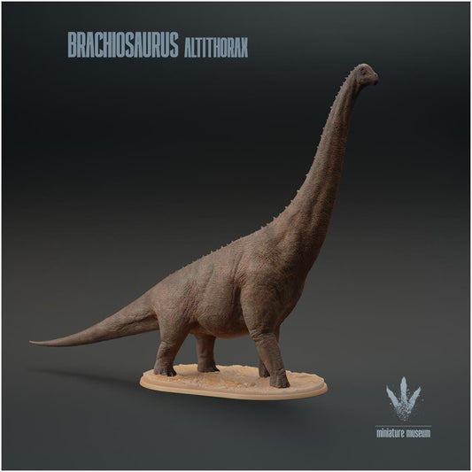 Brachiosaurus Altithorax 1:35 Scale