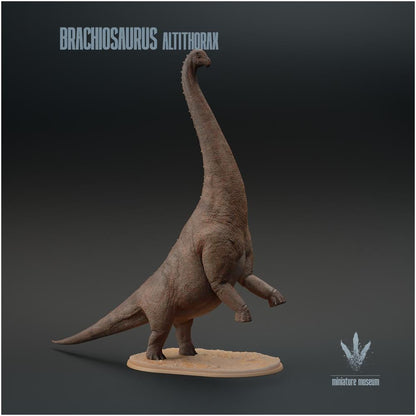 Brachiosaurus Altithorax Standing 1:35 Scale