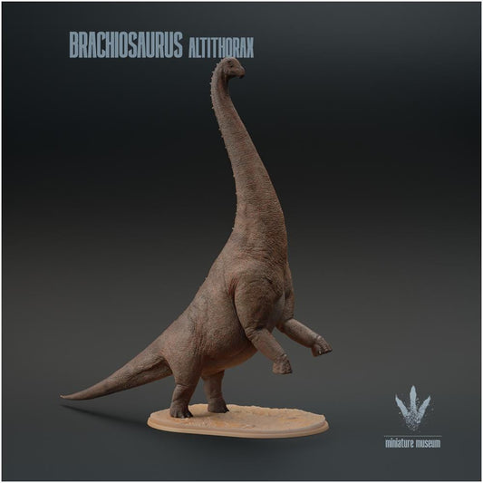 Brachiosaurus Altithorax Standing 1:35 Scale