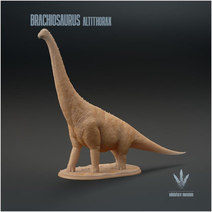 Brachiosaurus Altithorax 1:35 Scale
