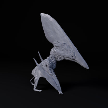 Thalassodromeus