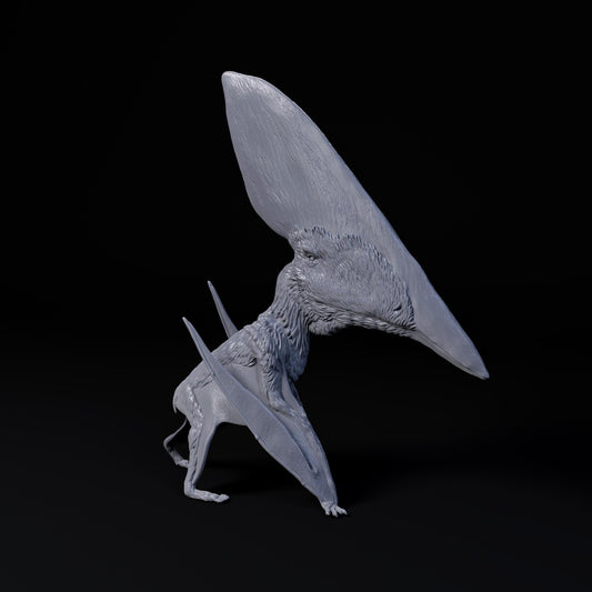 Thalassodromeus