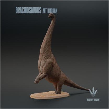 Brachiosaurus Altithorax Standing 1:35 Scale