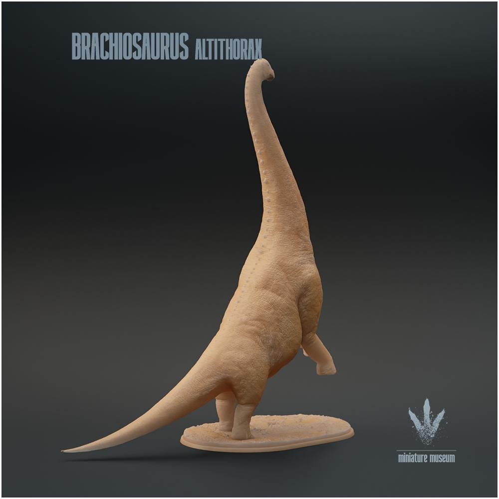 Brachiosaurus Altithorax Standing 1:35 Scale