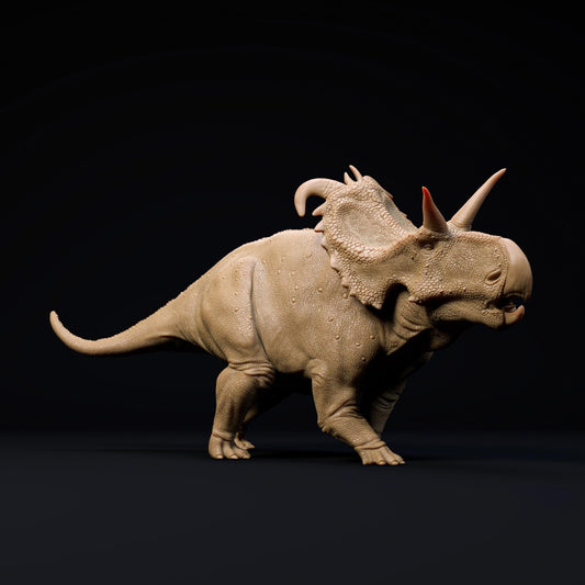 Lokiceratops