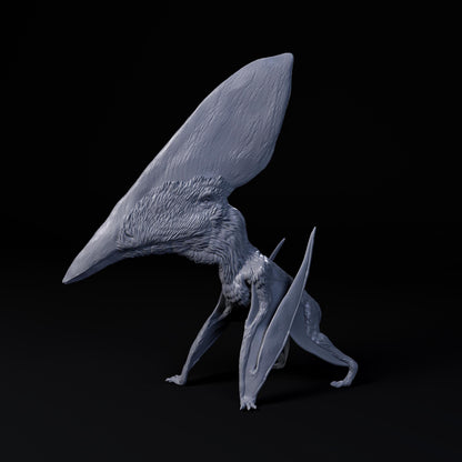 Thalassodromeus