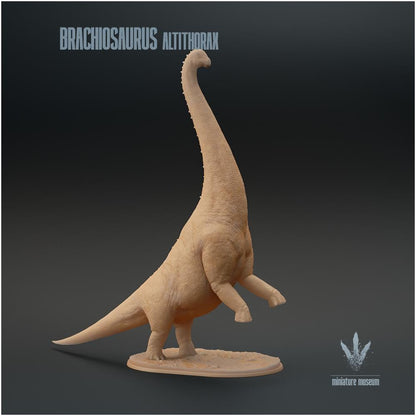 Brachiosaurus Altithorax Standing 1:35 Scale