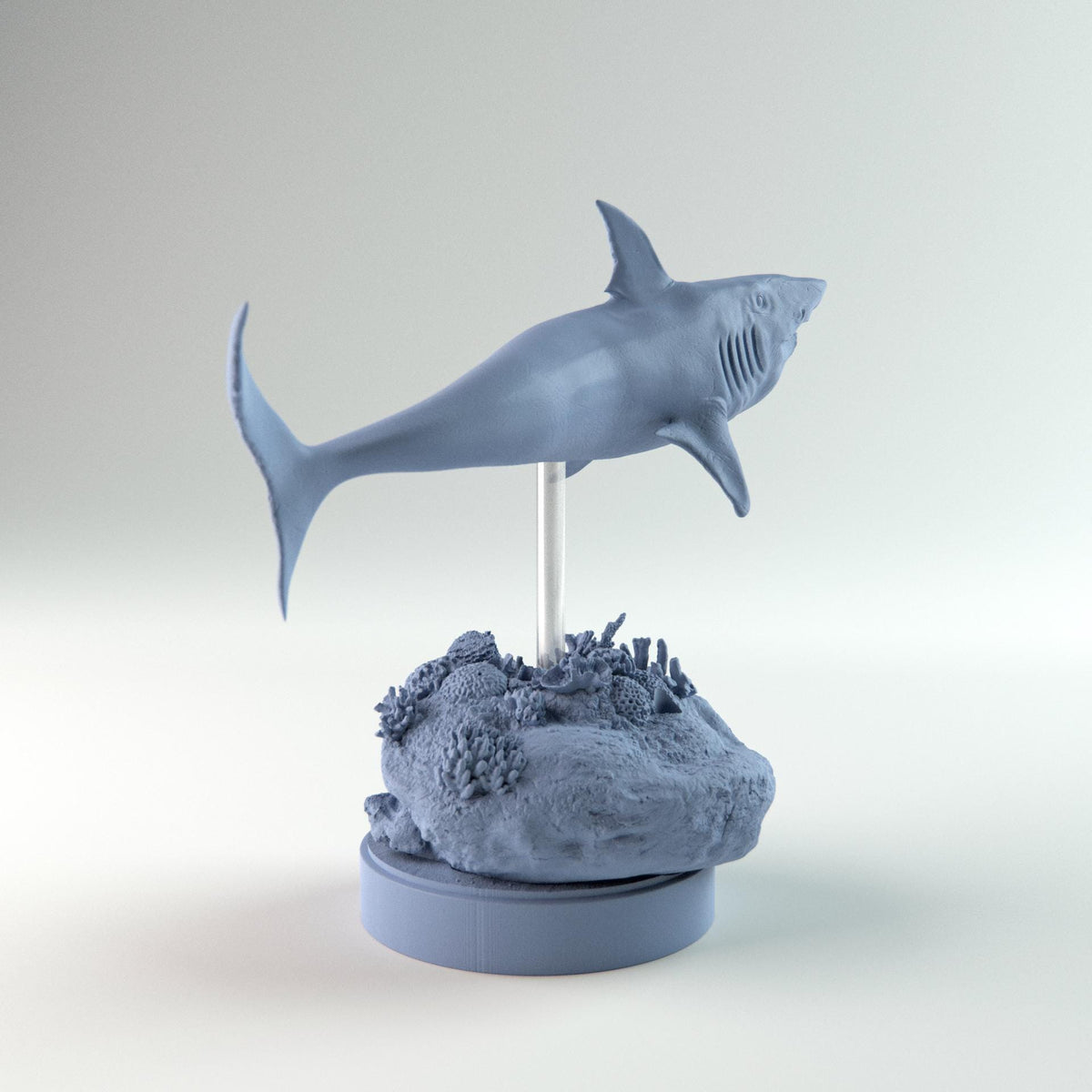 Helicoprion Swimming Up