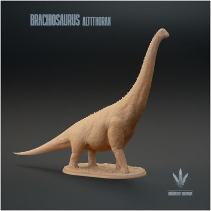 Brachiosaurus Altithorax 1:35 Scale