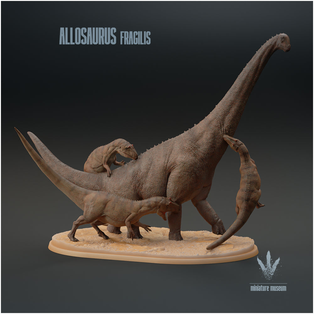 Allosaurus Fragilis Hunting Brachiosaurus Altithorax