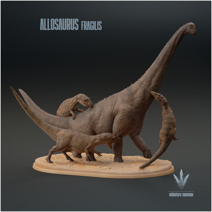 Allosaurus Fragilis Hunting Brachiosaurus Altithorax