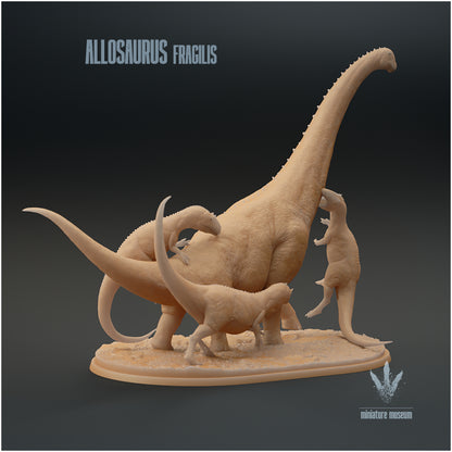 Allosaurus Fragilis Hunting Brachiosaurus Altithorax