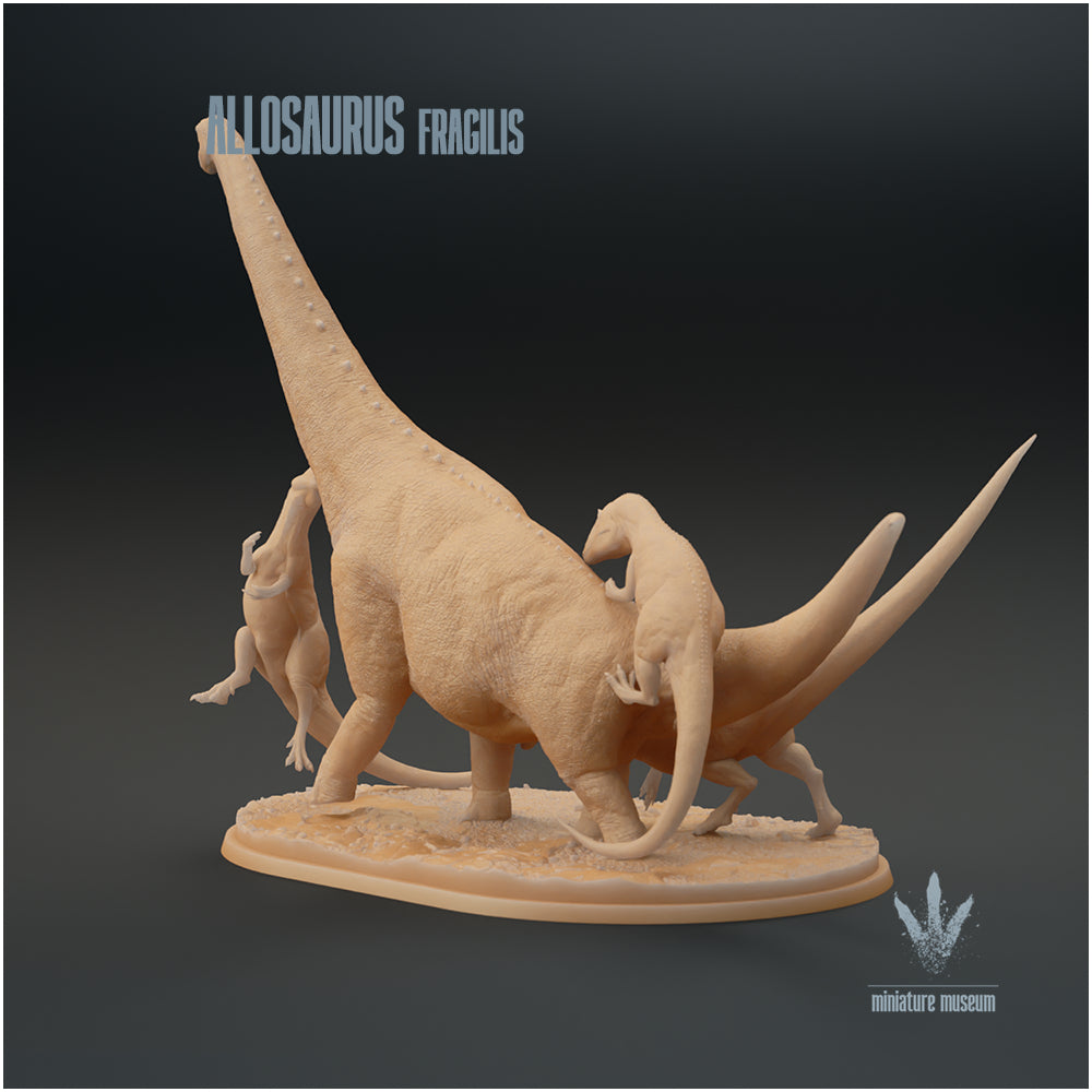 Allosaurus Fragilis Hunting Brachiosaurus Altithorax