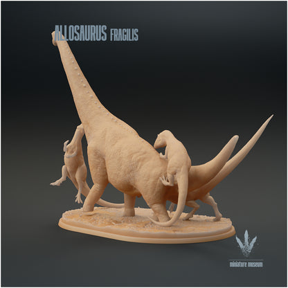 Allosaurus Fragilis Hunting Brachiosaurus Altithorax