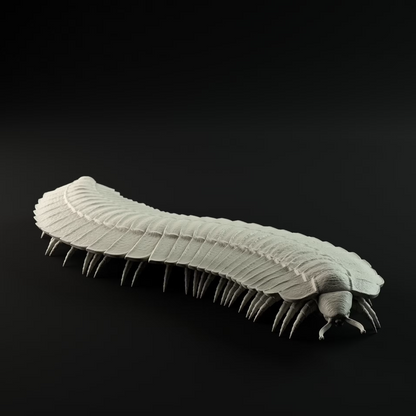 Arthropleura