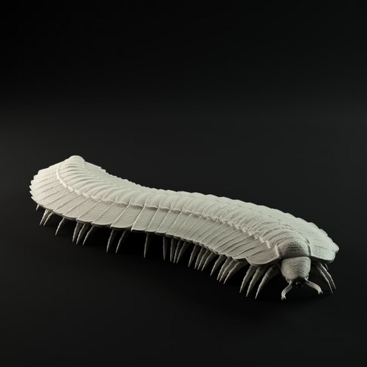 Arthropleura
