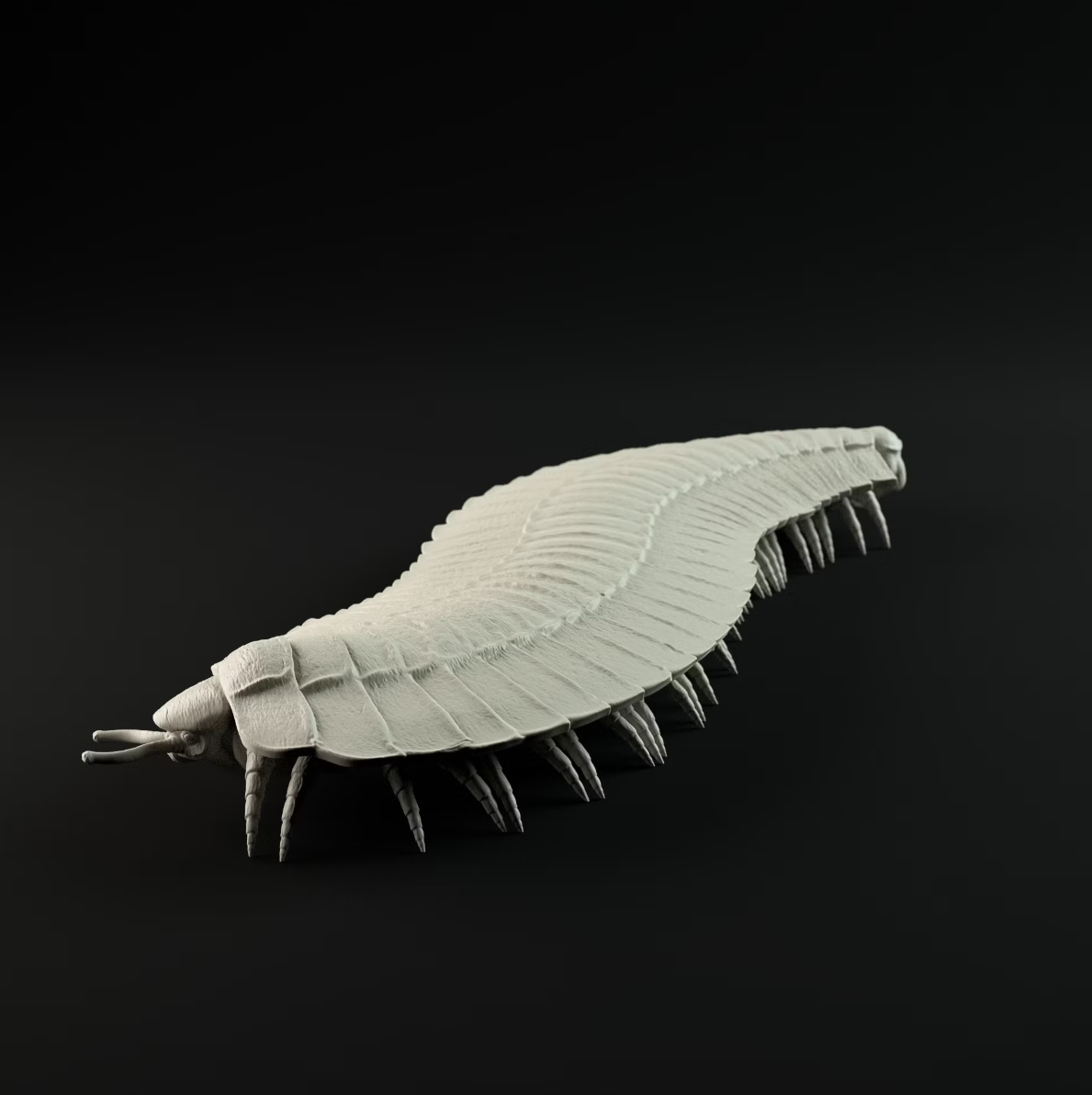 Arthropleura