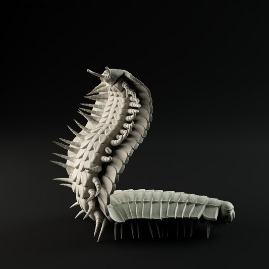 Arthropleura Rearing Up