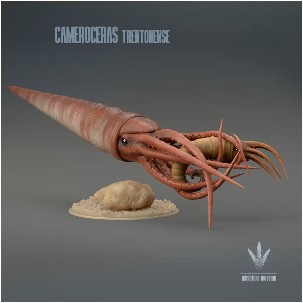 Cameroceras Trentonense Hunting