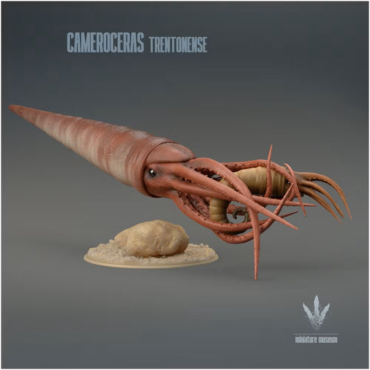 Cameroceras Trentonense Hunting