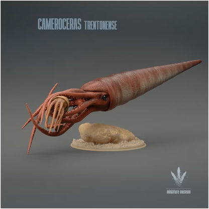 Cameroceras Trentonense Hunting