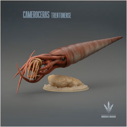 Cameroceras Trentonense Hunting