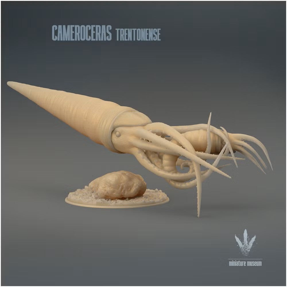 Cameroceras Trentonense Hunting