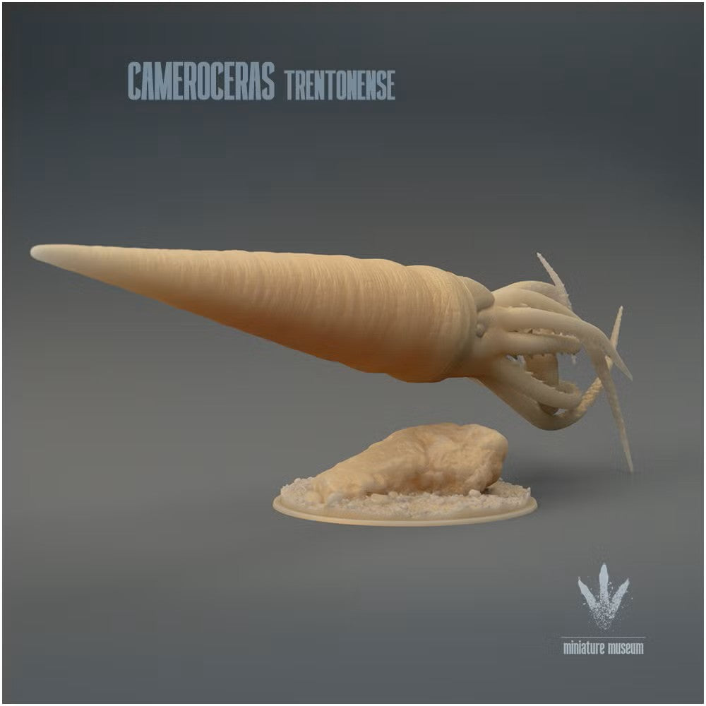 Cameroceras Trentonense Hunting