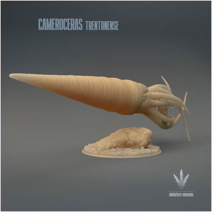 Cameroceras Trentonense Hunting
