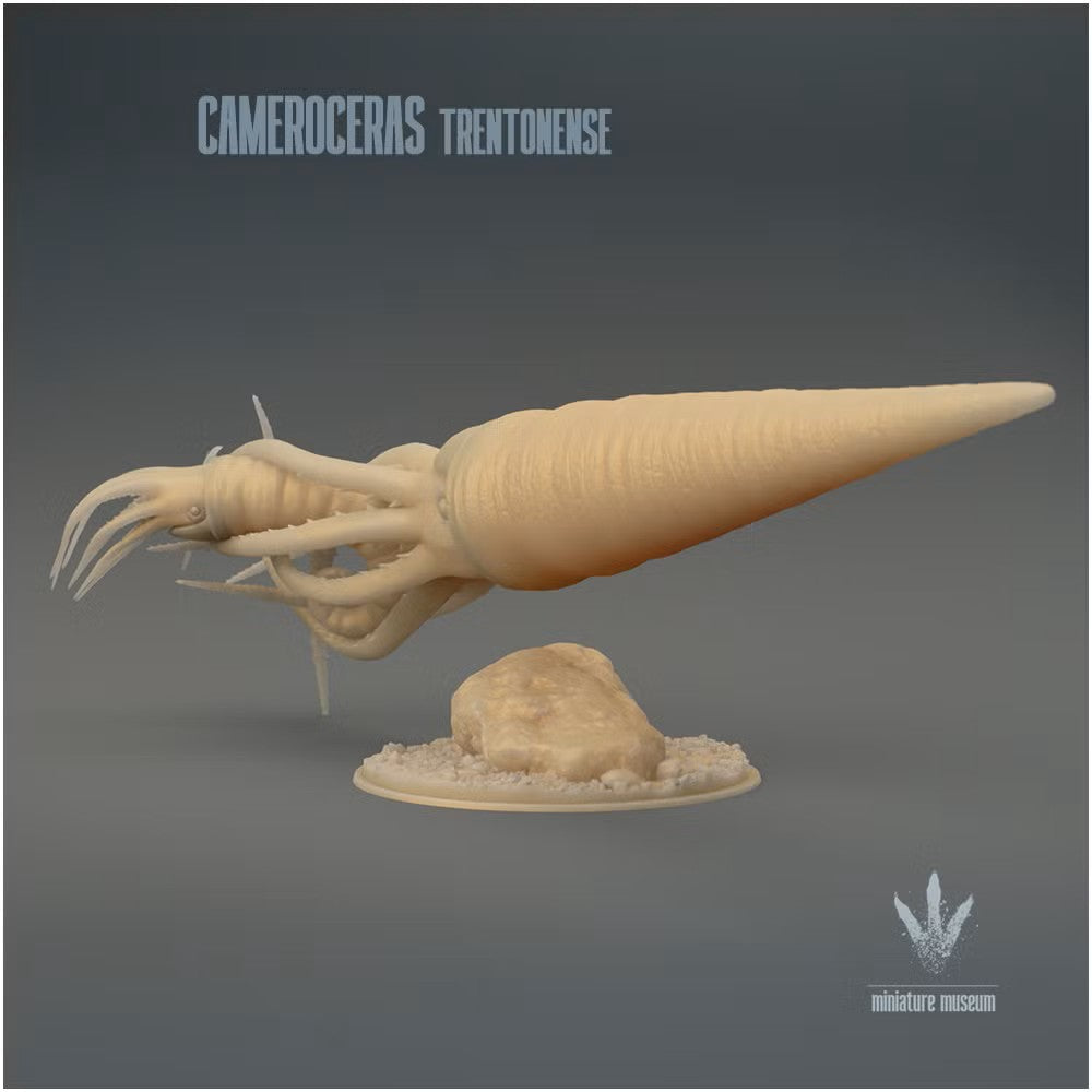 Cameroceras Trentonense Hunting