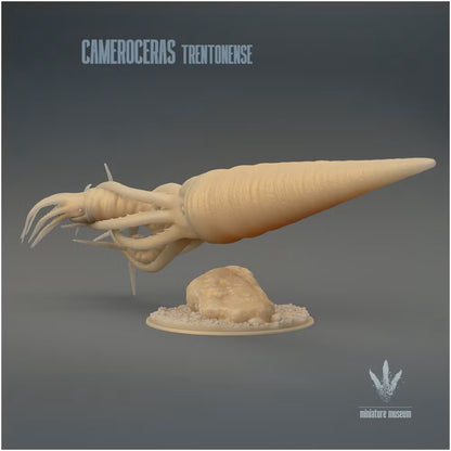 Cameroceras Trentonense Hunting