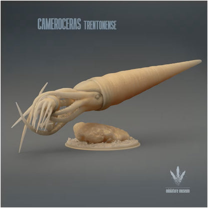 Cameroceras Trentonense Hunting