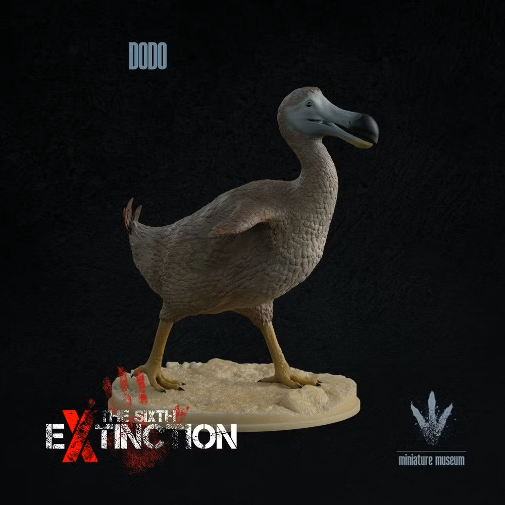 Dodo (Raphus Cucullatus)