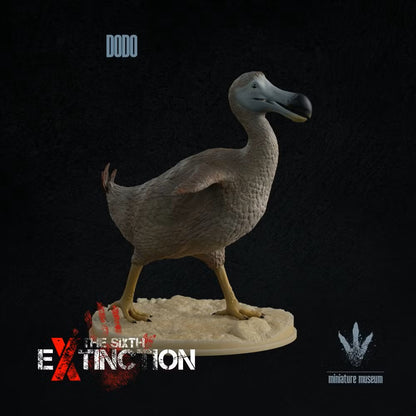 Dodo (Raphus Cucullatus)