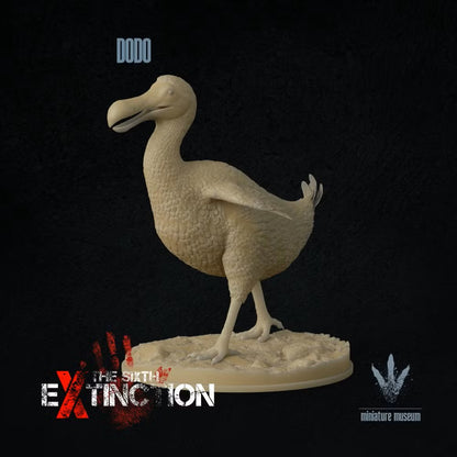 Dodo (Raphus Cucullatus)