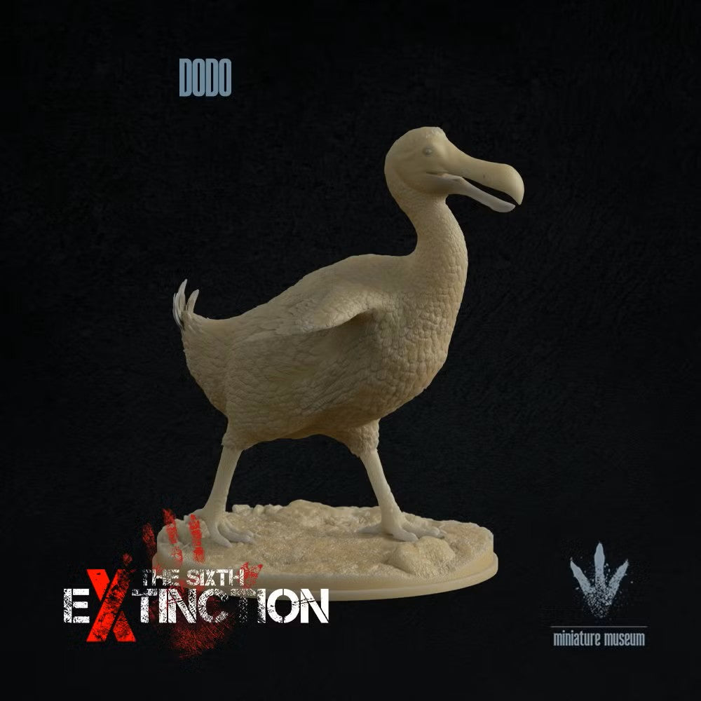 Dodo (Raphus Cucullatus)
