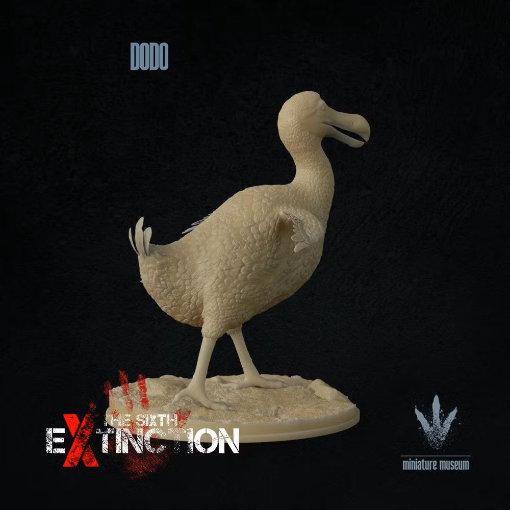 Dodo (Raphus Cucullatus)
