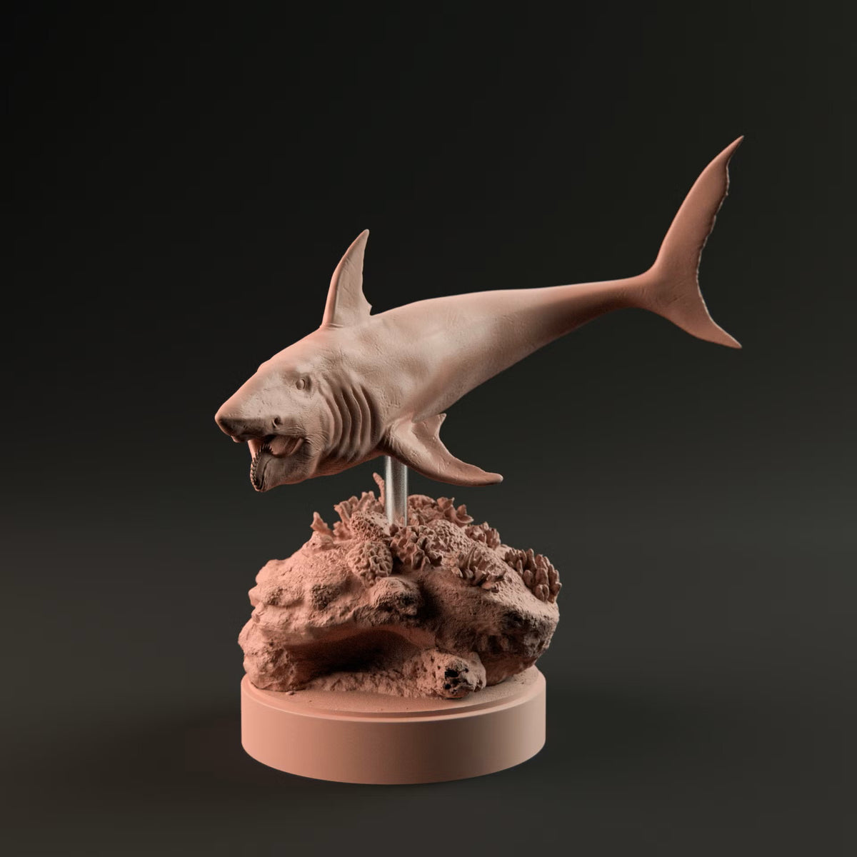 Helicoprion Swimming