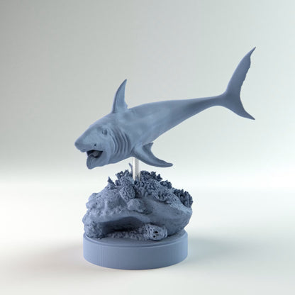 Helicoprion Swimming