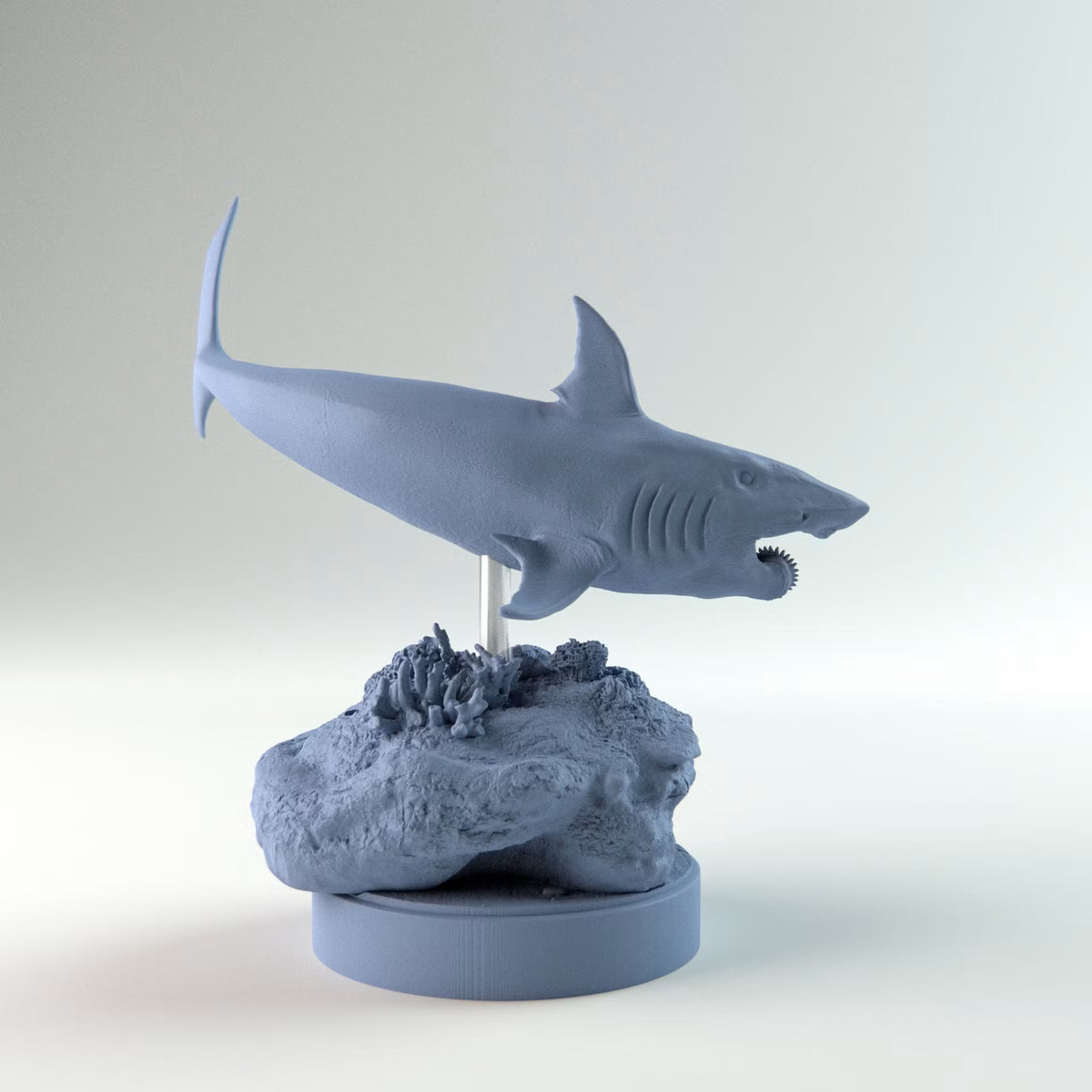 Helicoprion Swimming