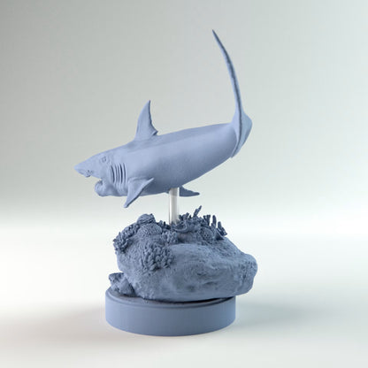 Helicoprion Swimming
