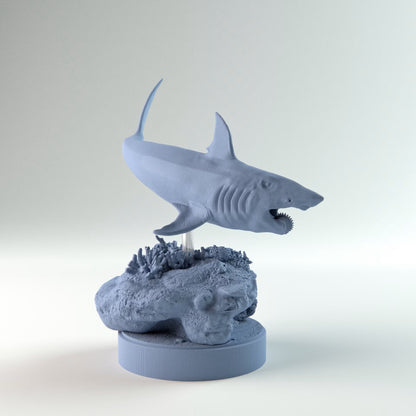 Helicoprion Swimming